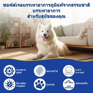 Popoo Allergy & Immune Supplement for Dogs Seasonal Allergies ผิวหนังและขน เสริมสร้างภูมิคุ้มกัน 120 แคปซูล