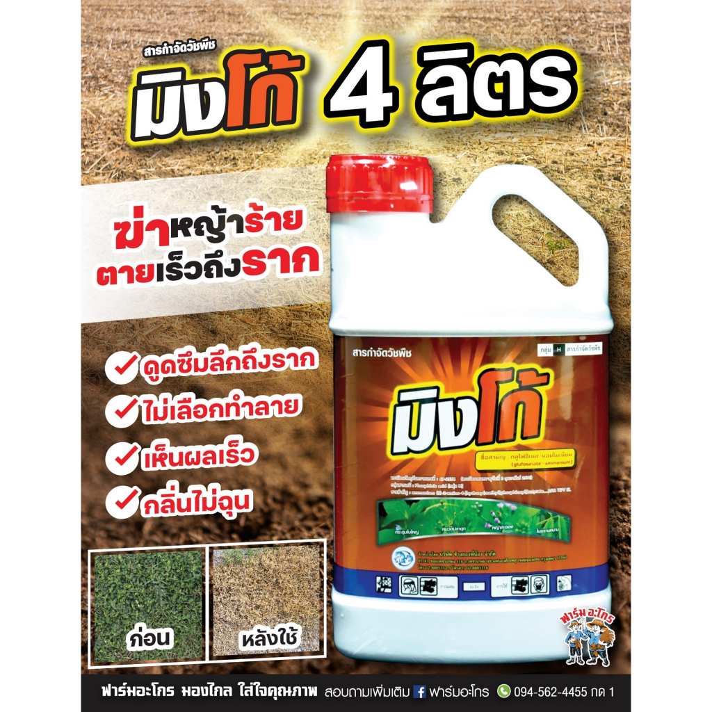 มิงโก้ ยาฆ่าหญ้าแบบไม่เลือกทำลาย