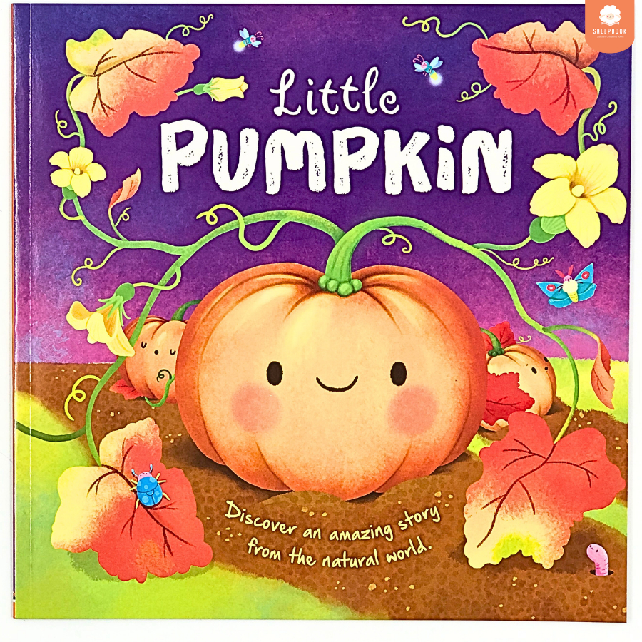 นิทานปกอ่อน Nature Stories: Little Pumpkin F3B2