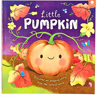 นิทานปกอ่อน Nature Stories: Little Pumpkin F3B2