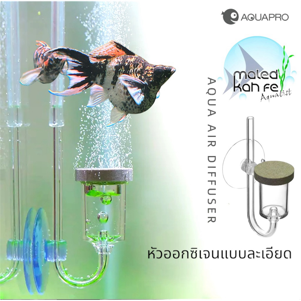 AQUA PRO AIR ( Oxygen O2 ) diffuser จ่าย หัว ทราย ออกซิเจน อะคริลิค AquaPro M 1.6 cm / L 2.5 cm ปลา ฟองเล็ก ละเอียด