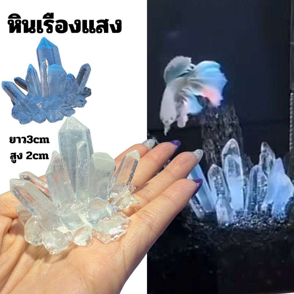🌟หินเกาะเพรช (เรืองแสง)🪼 แต่งตู้ปลา 🥇พร้อมส่งในไทย