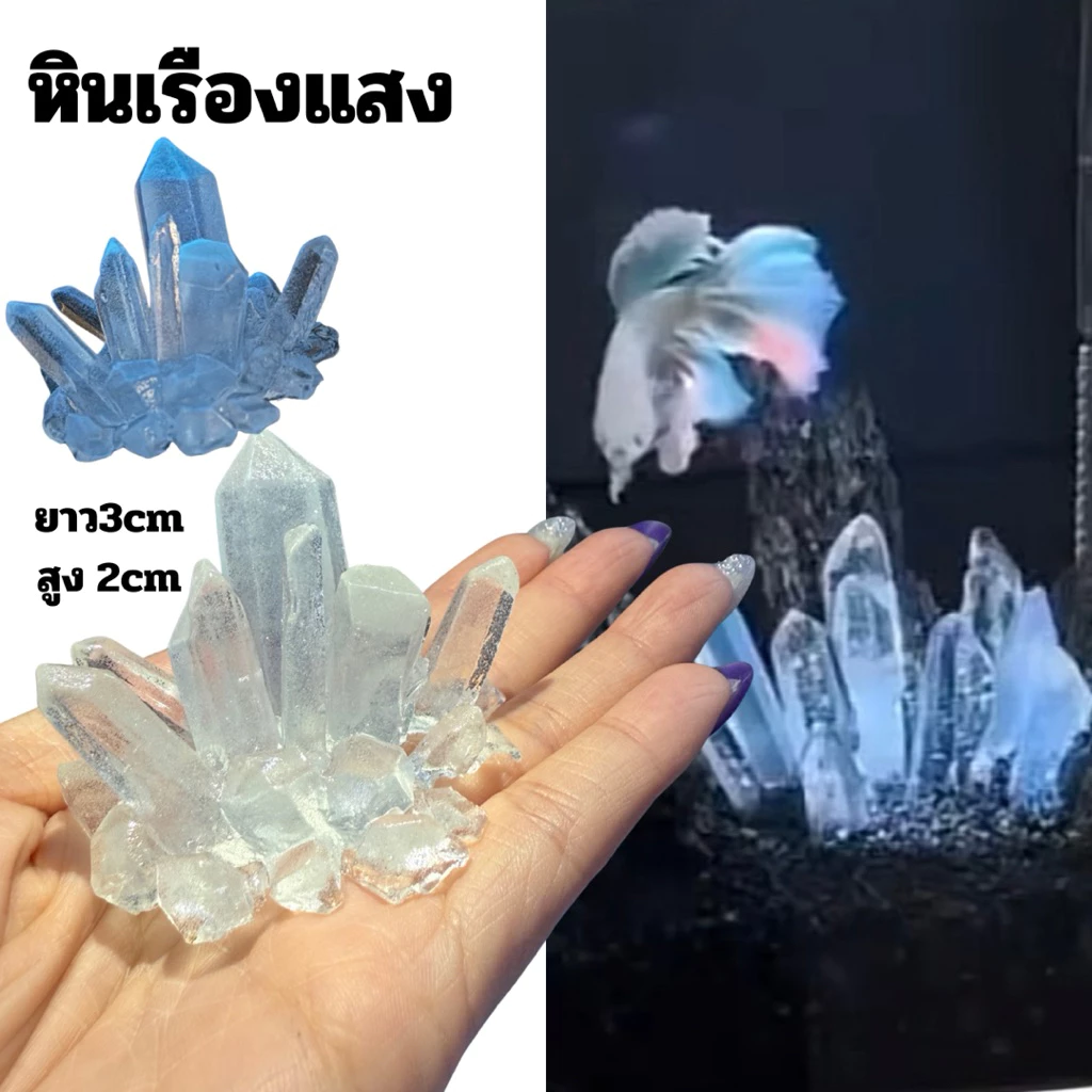 🌟หินเกาะเพรช (เรืองแสง)🪼 แต่งตู้ปลา 🥇พร้อมส่งในไทย