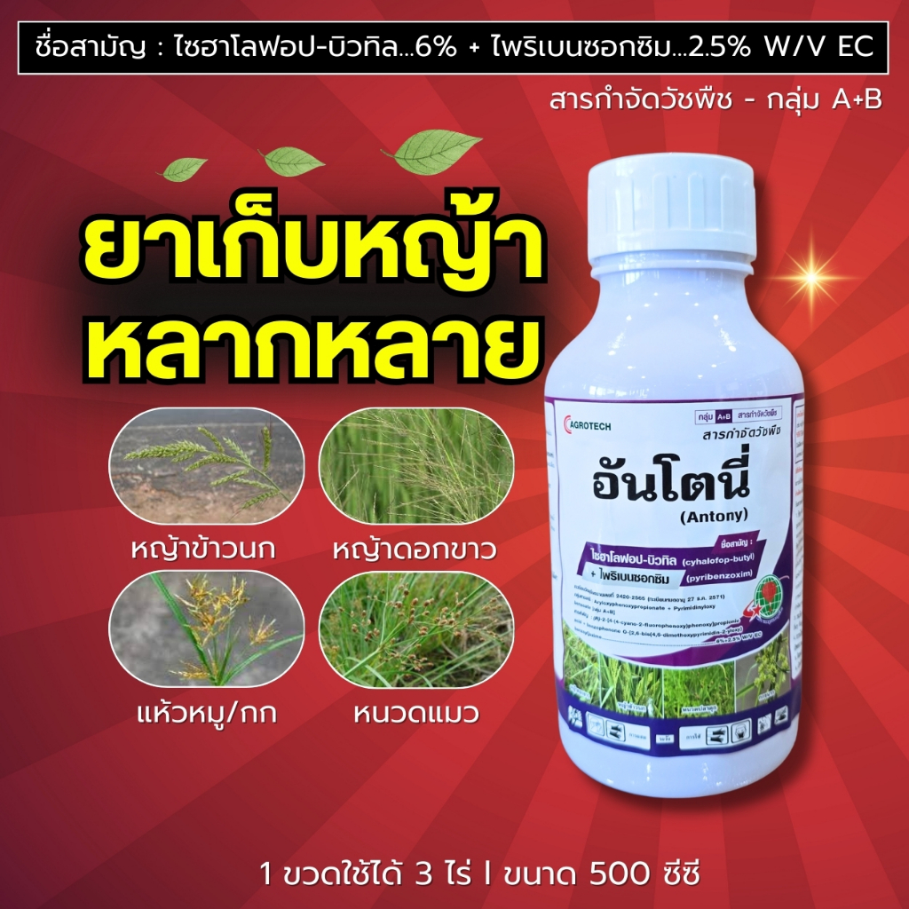 อันโตนี่ (ไซฮาโลฟอป-บิวทิล+ไพริเบนซอกซิม) ยาเก็บหญ้า หญ้าข้าวนก หญ้าดอกขาว หนวดแมว กก แห้วหมู 500 ซีซี