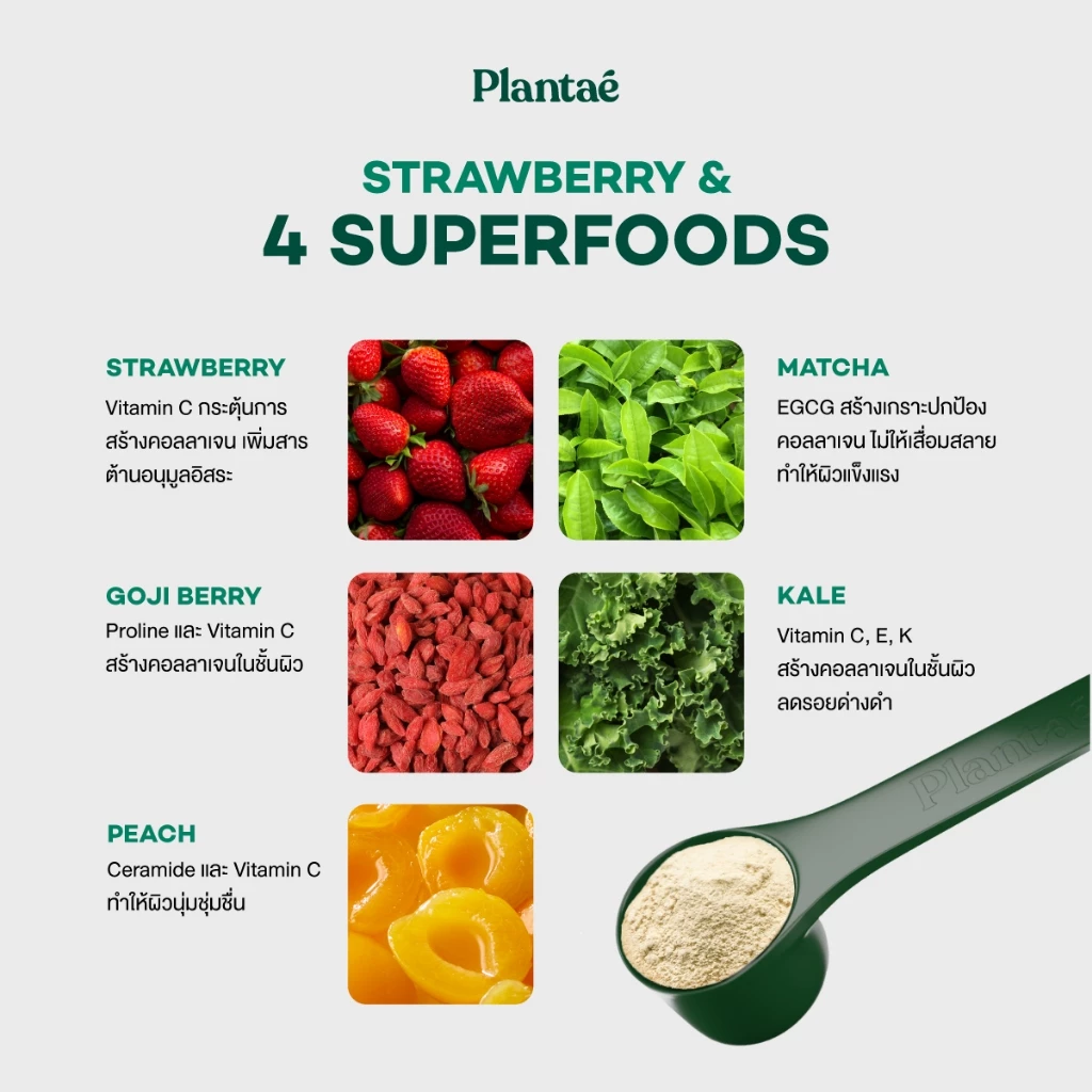 Plantae Complete Plant Protein รส Strawberry กระปุก 800g โปรตีนจากพืช plant based เพิ่มกล้ามเนื้อ โปรตีนสูง แพลนเต้ thumbnail 7