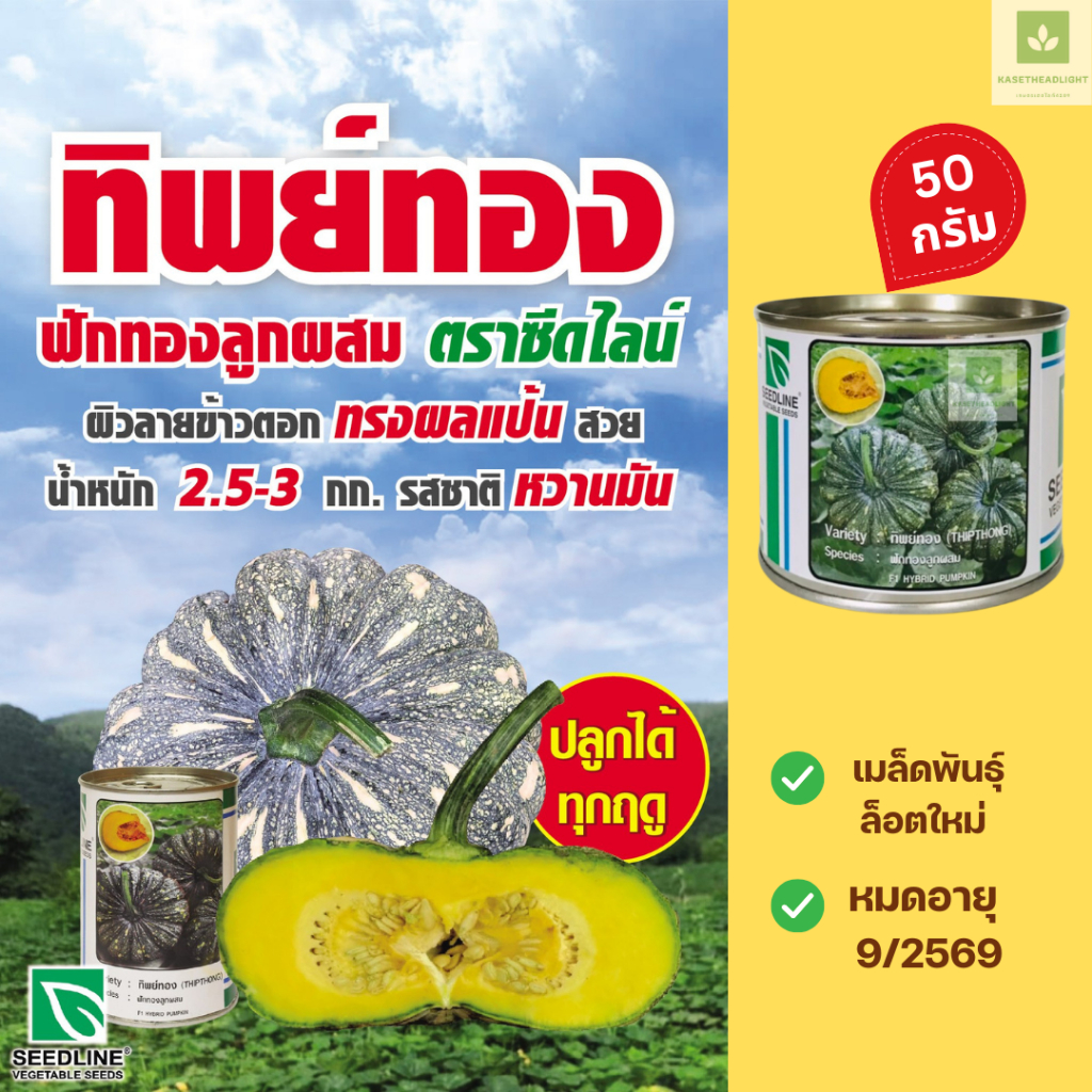 50กรัม ฟักทองทิพย์ทอง ฟักทองข้าวตอก ซีดไลน์ ฟักทองลาย ข้าวตอก