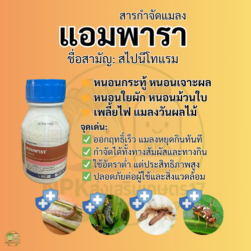 (พร้อมส่ง) สารกำจัดแมลง แอมพารา
