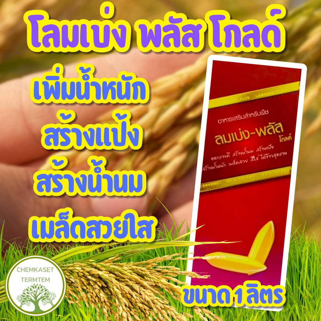 โลมเบ่ง-พลัสโกลด์ กล่องแดง 1 ลิตร(สูตรพิเศษ)เมล็ดแน่น สร้างแป้ง เพิ่มน้ำหนัก ข้าวออกรวงสม่ำเสมอ