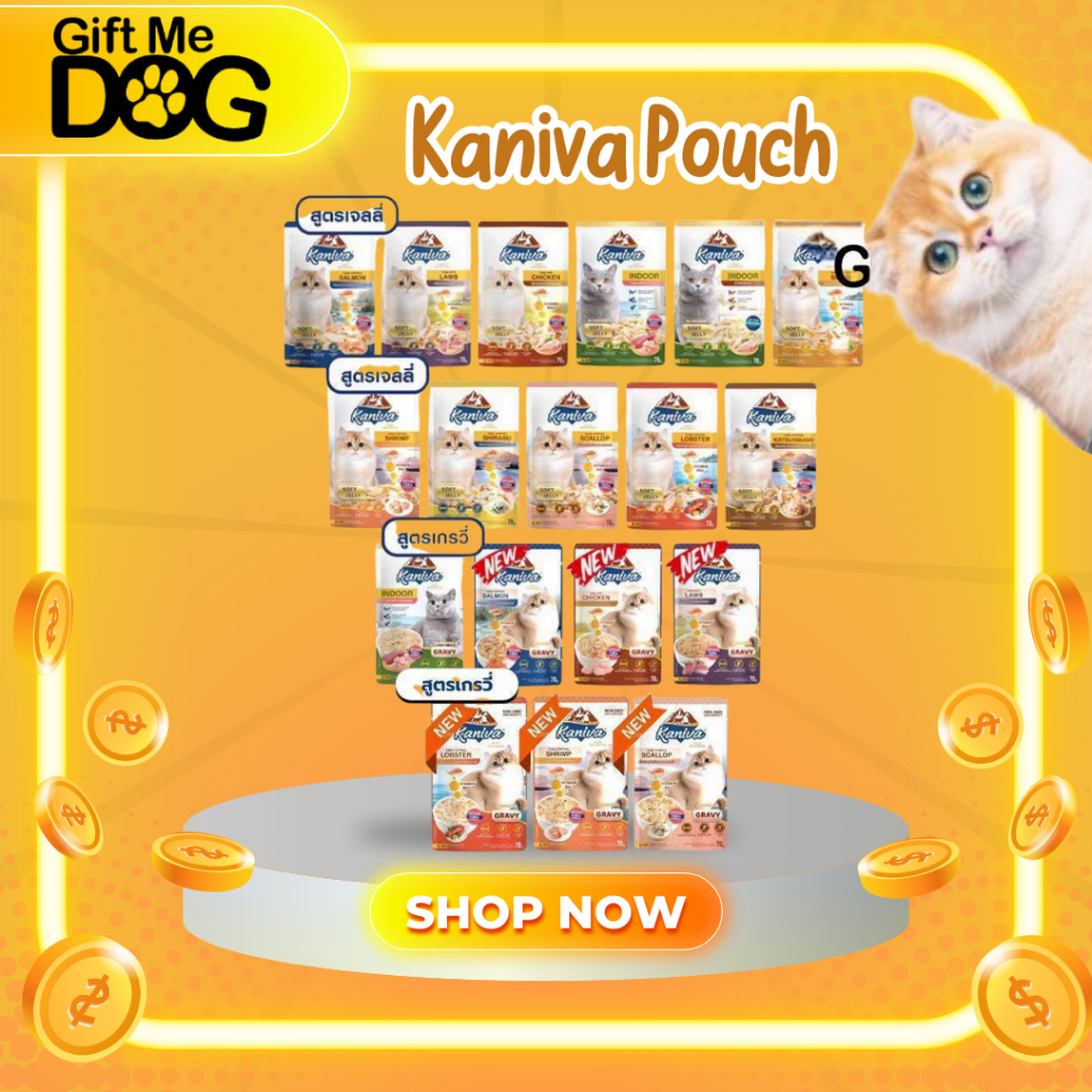 Kaniva Pouch อาหารเปียกแมว สำหรับน้องแมวเกรดพรีเมี่ยม บรรจุ70g