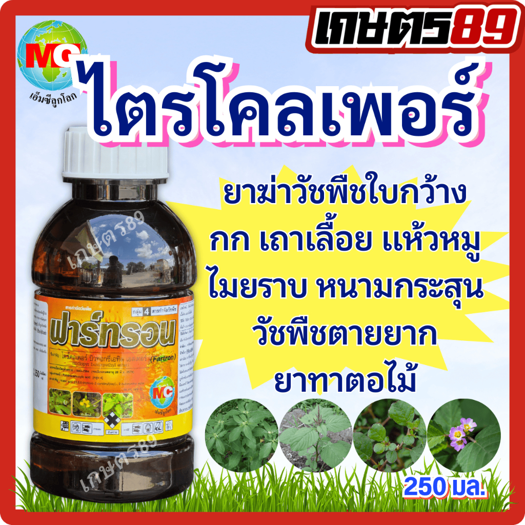 ไตรโคลเพอร์ ฟาร์ทรอน เอ็มซีลูกโลก ยาฆ่าหญ้าใบกว้าง-เครือเถา ผักบุ้ง ผักตบชวา ยาทาตอไม้ ต้นไม้ใหญ่ #ไซทรอน