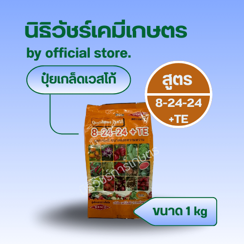 ปุ๋ยเกล็ดผง WESCO 8-24-24+TE : สูตรเพิ่มดอก เพิ่มขนาดผลผลิต และคุณภาพผลผลิต
