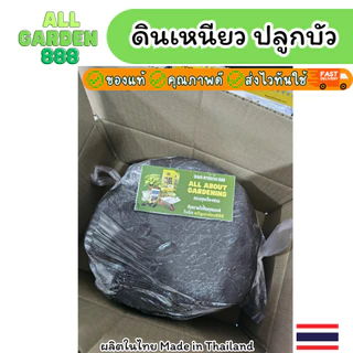 ดินเหนียว ดินบัว ดินปลูกบัว ดินปลูกไม้น้ำ 3 ก้อน น้ำหนักรวมประมาณ 5.8กิโล