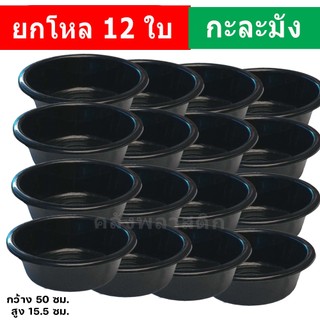 (ยกโหล12ใบ) กะละมังพลาสติก เบอร์ 55 รุ่นหนาพิเศษ-ซักผ้า ล้างผักผลไม้ เลี้ยงไส้เดือน เลี้ยงปลา - 0337