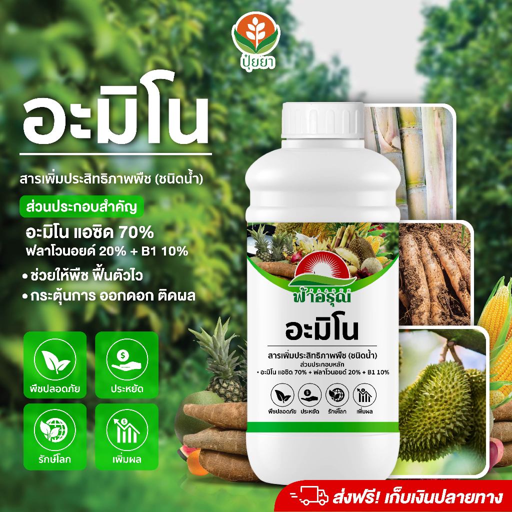 อะมิโน ฟ้าอรุณ 1 ลิตร | สูตรเข้มข้น ฟื้นตัวไว รากแข็งแรง แตกยอดดก ดอกติดดี ผลโตไว เพิ่มผลผลิตทุกพืชเศรษฐกิจ อะมิโนแอซิด