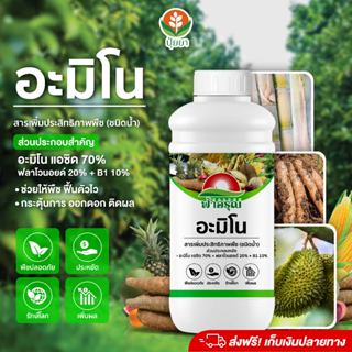 อะมิโน ฟ้าอรุณ 1 ลิตร | สูตรเข้มข้น ฟื้นตัวไว รากแข็งแรง แตก…