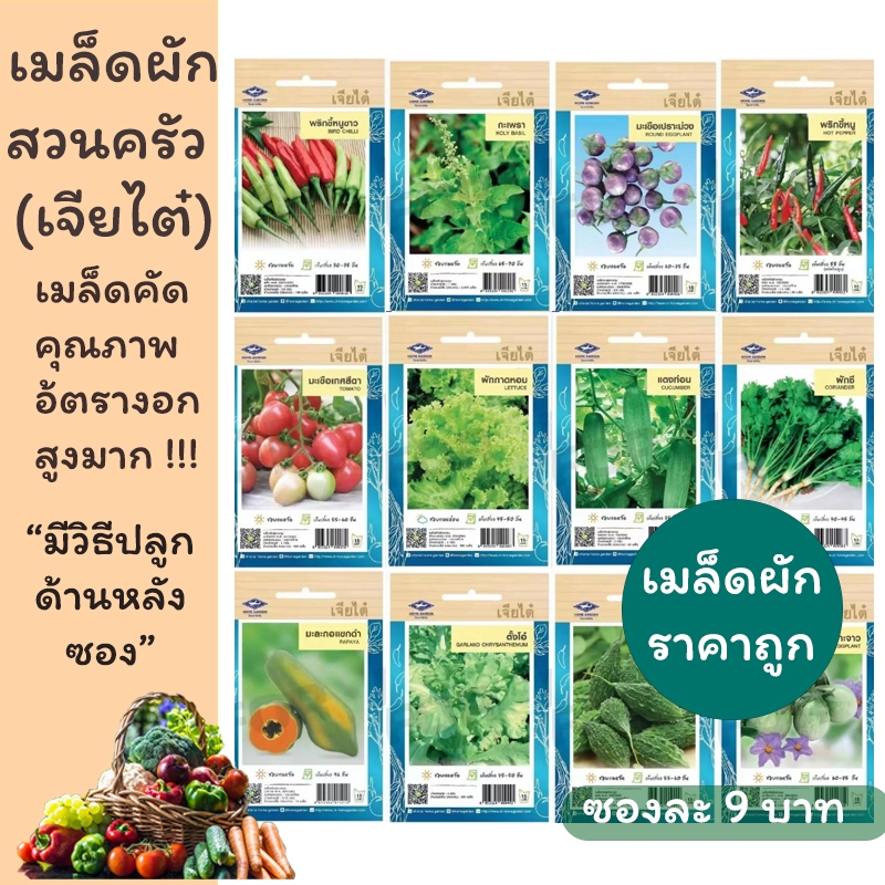 เมล็ดผักเจียไต๋ ชนิดซอง มีหลายชนิดให้เลือก ผักสวนครัว คัดคุณภาพอัตรางอกสูงมาก โตเร็ว ราคาถูก