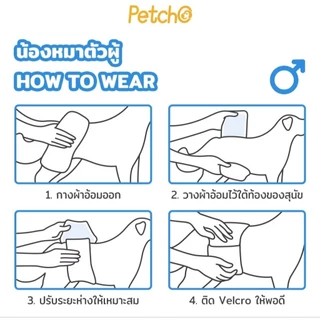 เเพมเพิสสุนัข ผ้าอ้อมสุนัข ซึมซับดีมาก ผ้าไม่บาดผิว
