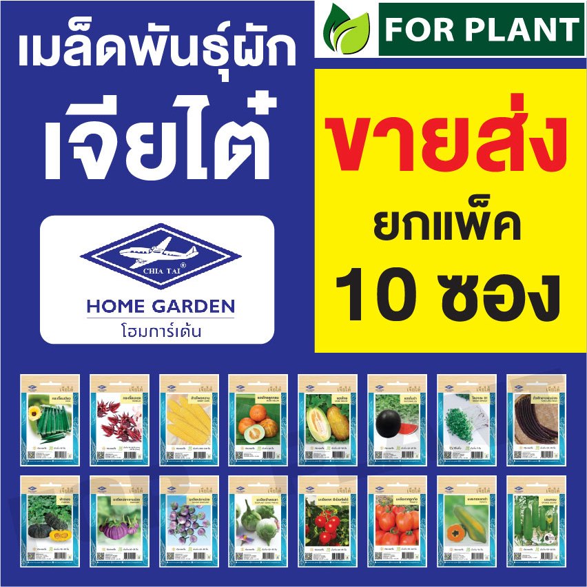 ขายส่ง เมล็ดพันธุ์ ผักซองเจียไต๋ CT15 ราคาถูก บรรจุแพ็คละ 10ซอง {คละชนิดได้ กดใส่ตะกล้าไว้ก่อนยืนยันสั่งซื้้อ)