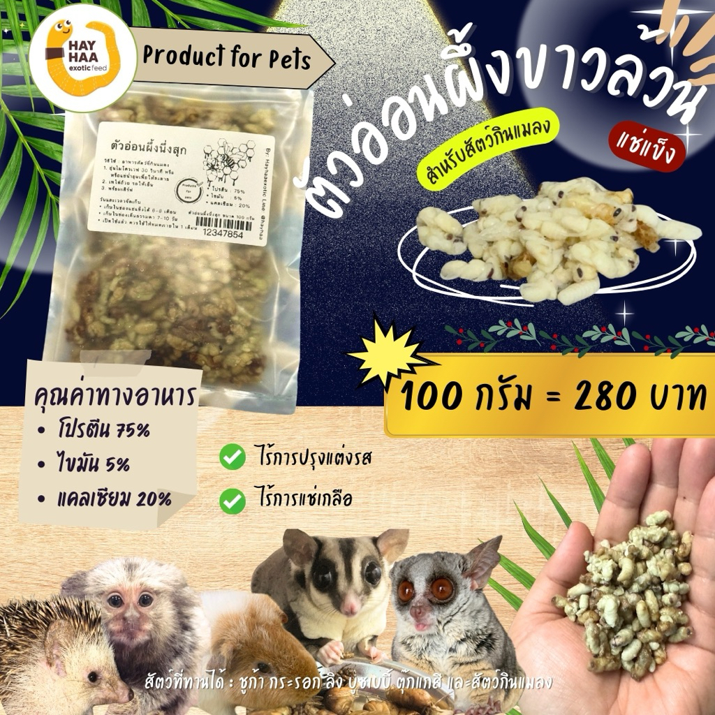 ตัวอ่อนผึ้งนึ่งสุกสำหรับสัตว์