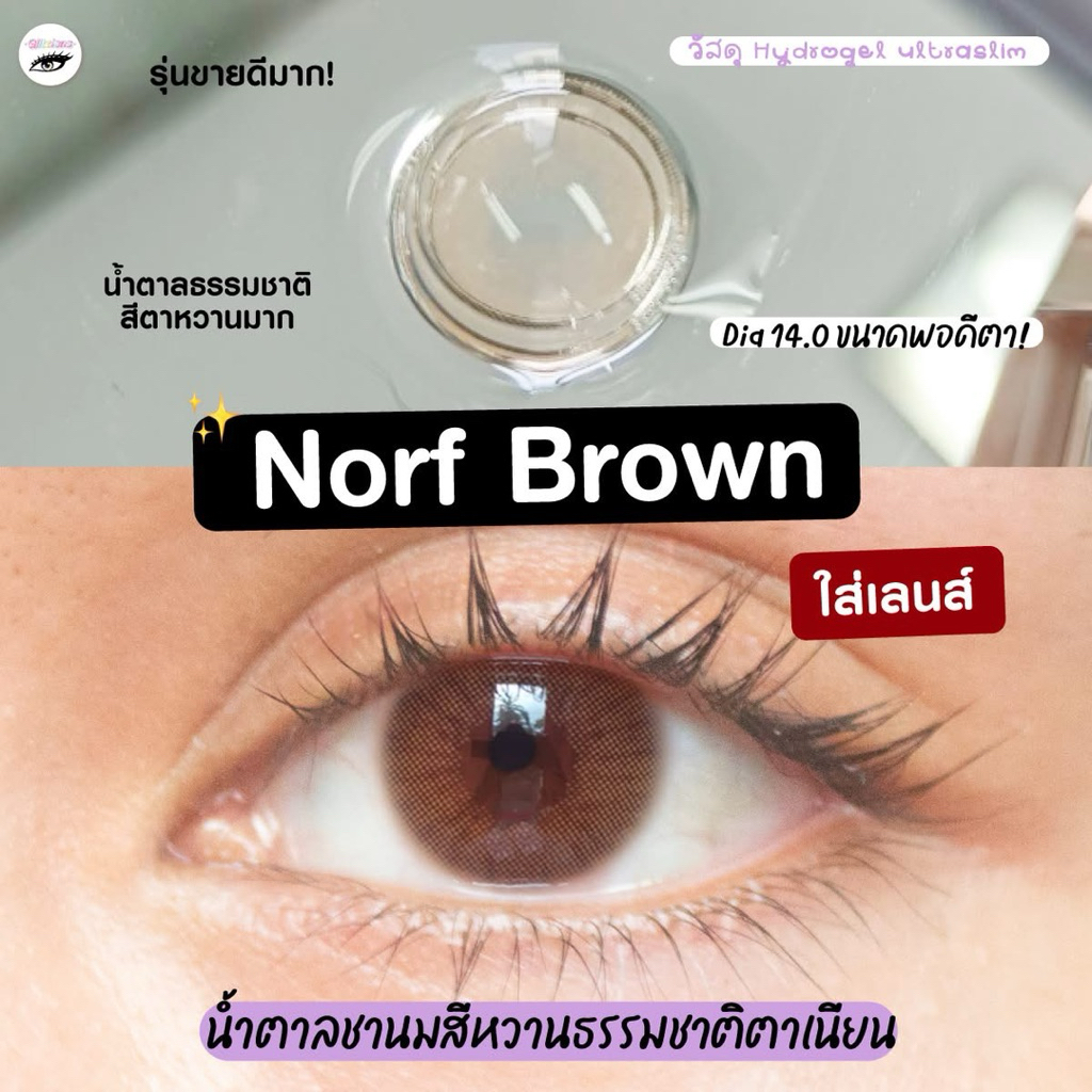 GLITZLENS NORF BROWN คอนแทคเลนส์รายเดือน สีน้ำตาลอัลมอนด์