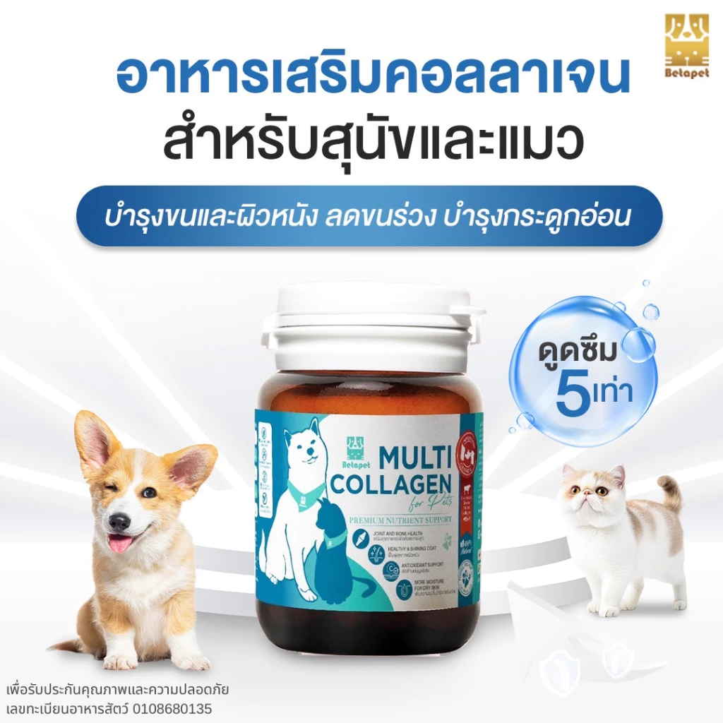 BETAPET อาหารเสริมคอลลาเจน 100% สำหรับสุนัขและแมว บำรุงขนและผิวหนัง เพิ่มความชุ่มชื้น ลดผิวหนังหลุดลอกเป็นขุย