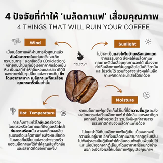 [New] Seasonal Blend เมล็ดกาแฟเบลนคั่วกลาง สู้นม โทน Lemon Caramel Hazelnut | MOTMOT COFFEE
