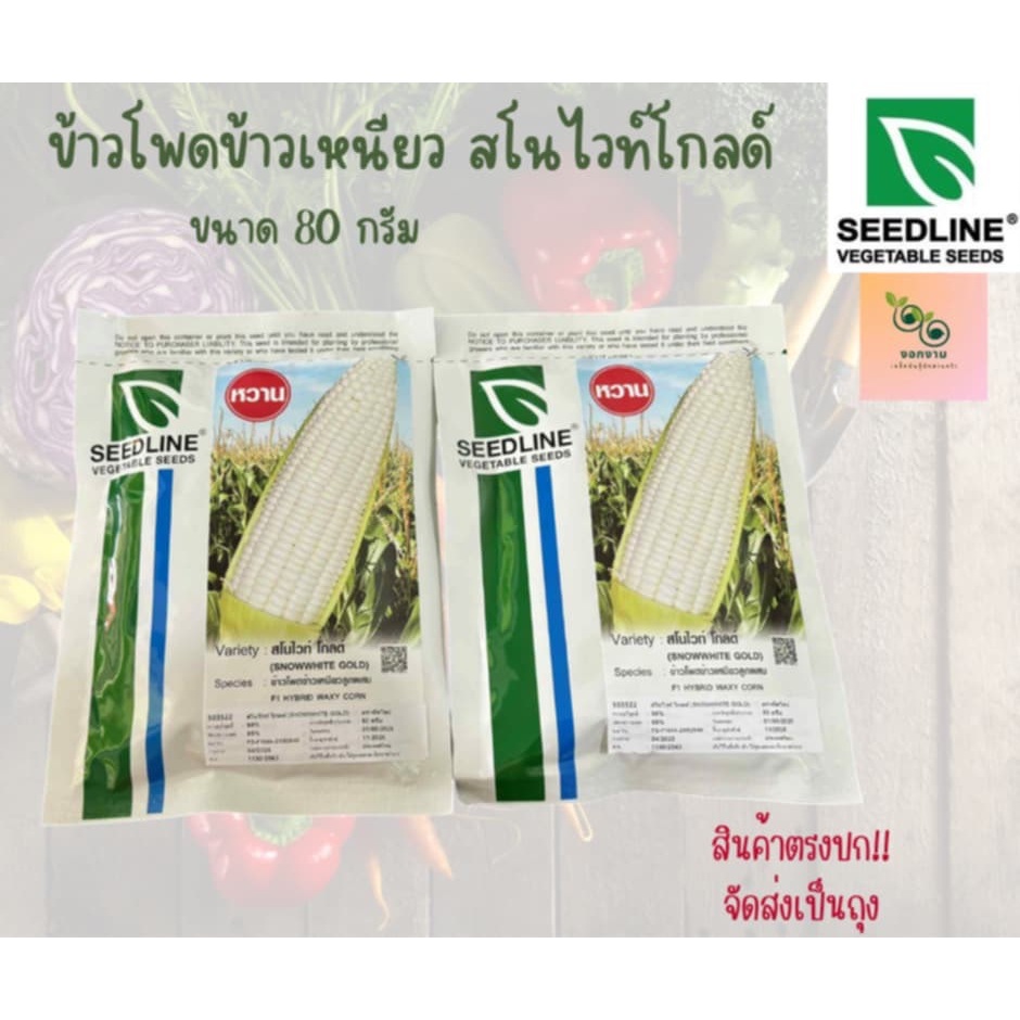 เมล็ดข้าวโพดข้าวเหนียว สโนไวท์โกลด์ ขนาด 80 กรัม SEEDLINE