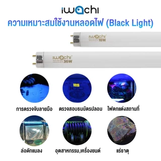 IWACHI ชุดหลอดไฟนีออนแบล็คไลท์ พร้อมรางอิเล็คทรอนิกส์ หลอดไฟ ล่อ ดัก จับ แมลง Black Light ไฟผับ 1ชุด