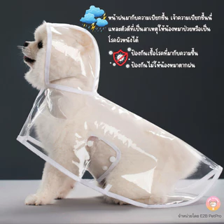 เสื้อกันฝนสุนัข เสื้อกันฝนสัตว์เลี้ยง สีโปร่งใสขอบขาว กันฝนสุนัขคลุมได้ทั้งตัว H007