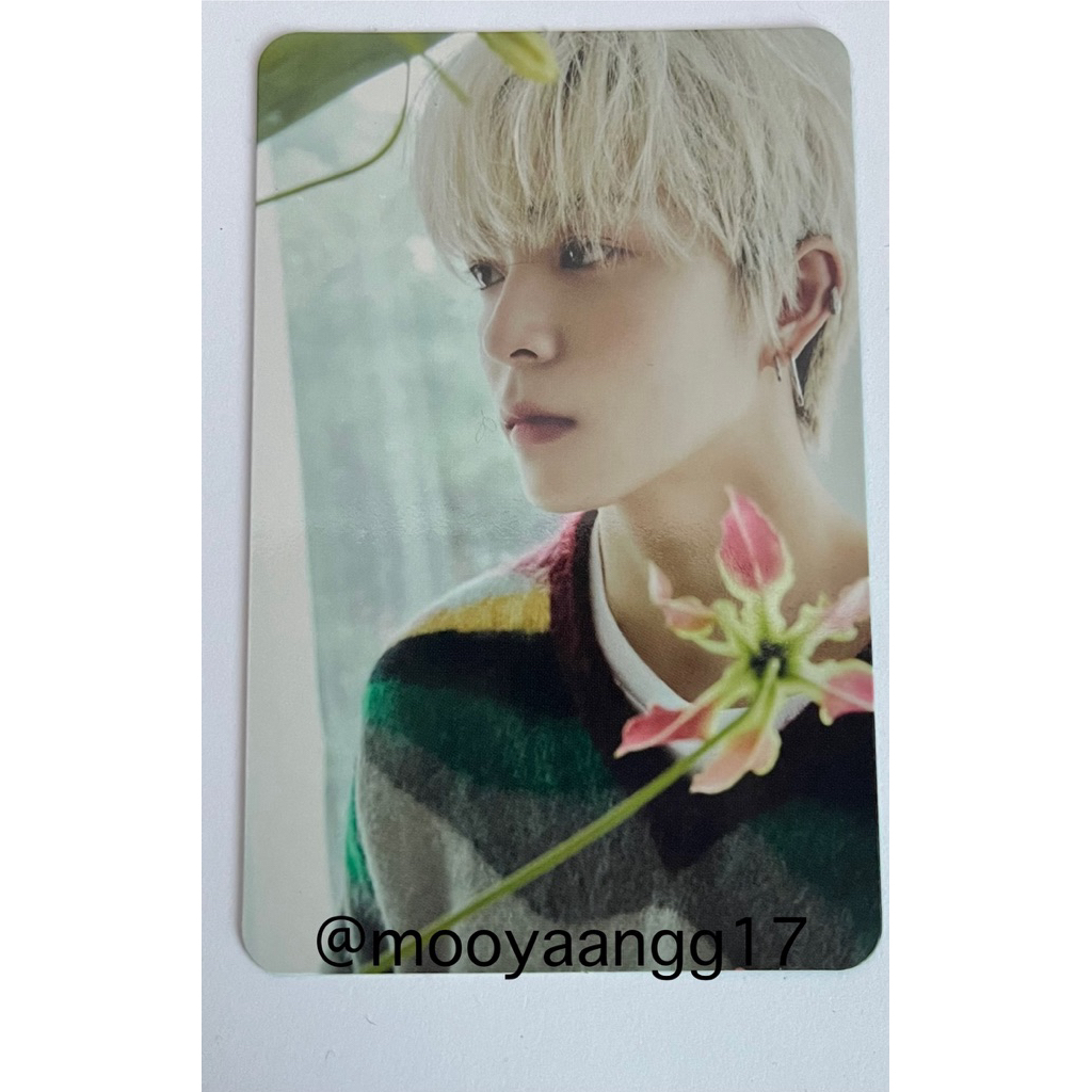 การ์ดTREASURE : Asahi