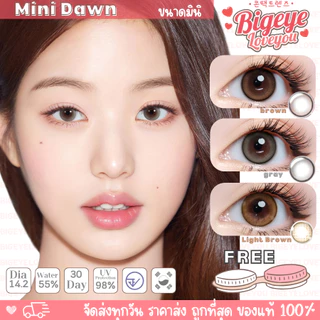 คอนแทคเลนส์ Mini Dawn Brown / Light Brown / Gray (Kitty Kawaii) ขนาดมินิ 🌷 ลายฮิต สุดปังในเกาหลี