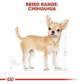 [ลดโหด] ROYAL CANIN อาหารเม็ด ชิวาว่า CHIHUAHUA ADULT ขนาด 3kg