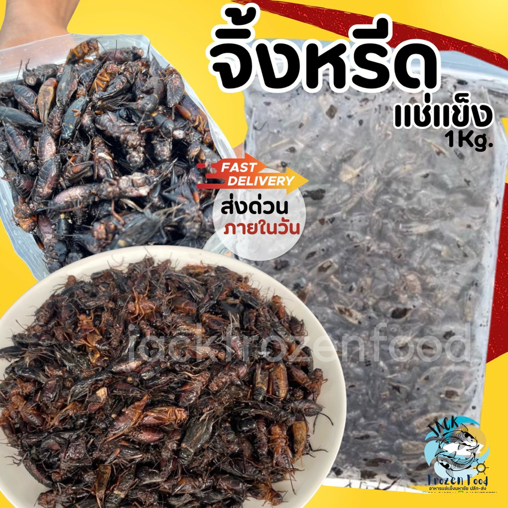 จิ้งหรีด แช่แข็ง 1Kg.   ส่งด่วนภายในวัน  เหมาค่าส่ง ฟรีกล่องโฟม!! ทุกจังหวัดทั่วไทย