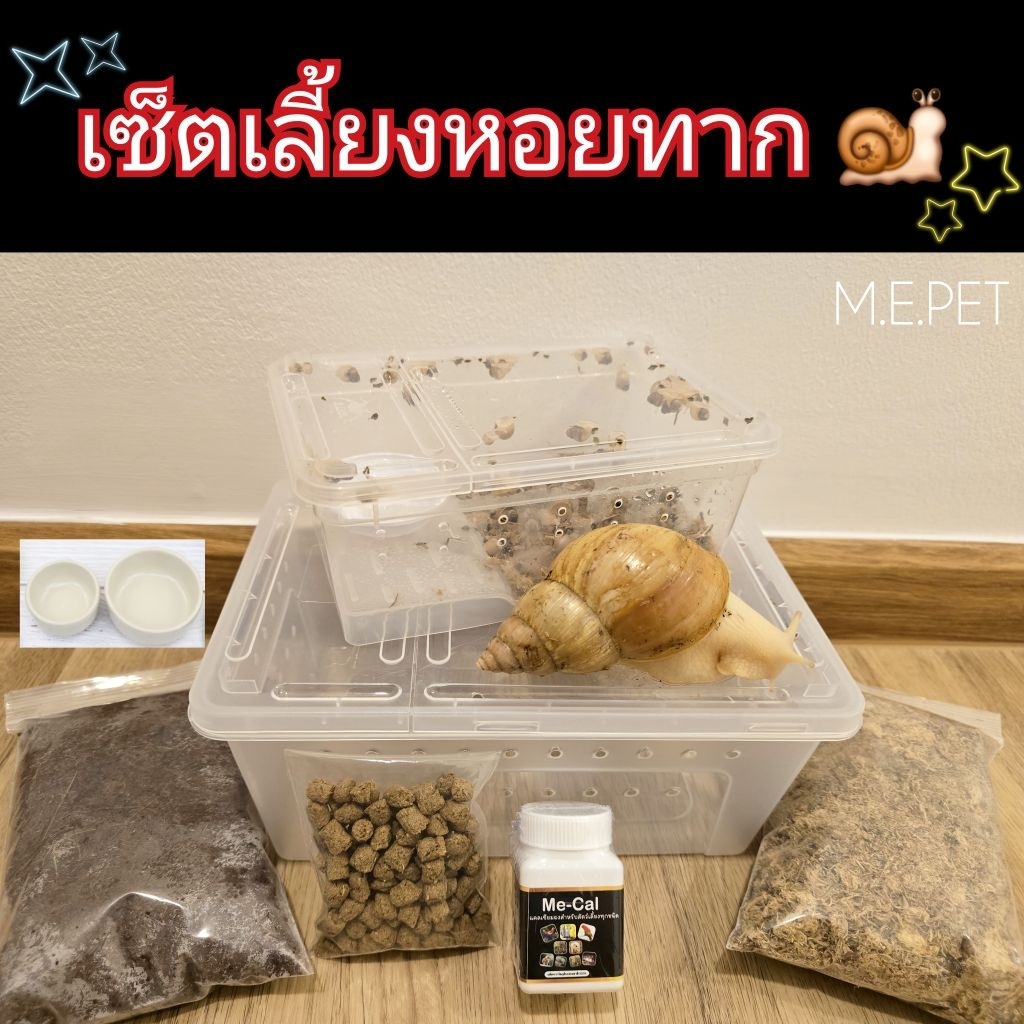 เซ็ตเลี้ยงหอยทาก และอุปกรณ์สำหรับเลี้ยงหอยทาก