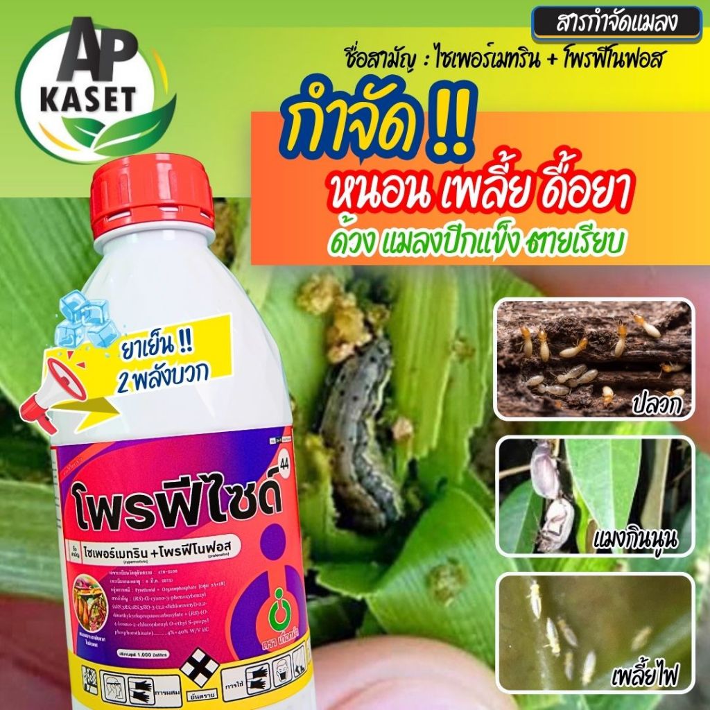 ส่งฟรี ยาเพลี้ยแป้ง เพลี้ยไฟ เพลี้ย หนอน มอด ปลวก แมลงปีกแข็ง แมลงหวี่ขาว บั่ว ด้วง 1 ลิตร ออกฤทธิ์เร็ว ยาเย็นฉีดผ่าดอก