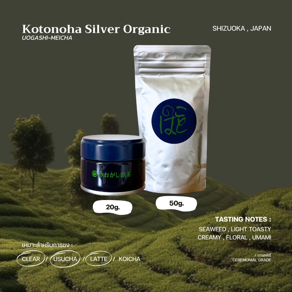 มัทฉะเกรดพิธี 🌊🌸 "Kotonoha Silver"Organic Jas - UOGASHI MEICHA