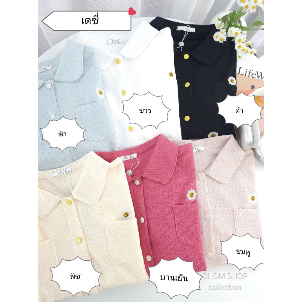 (6) สินค้าป้าย Chom 3 Collections