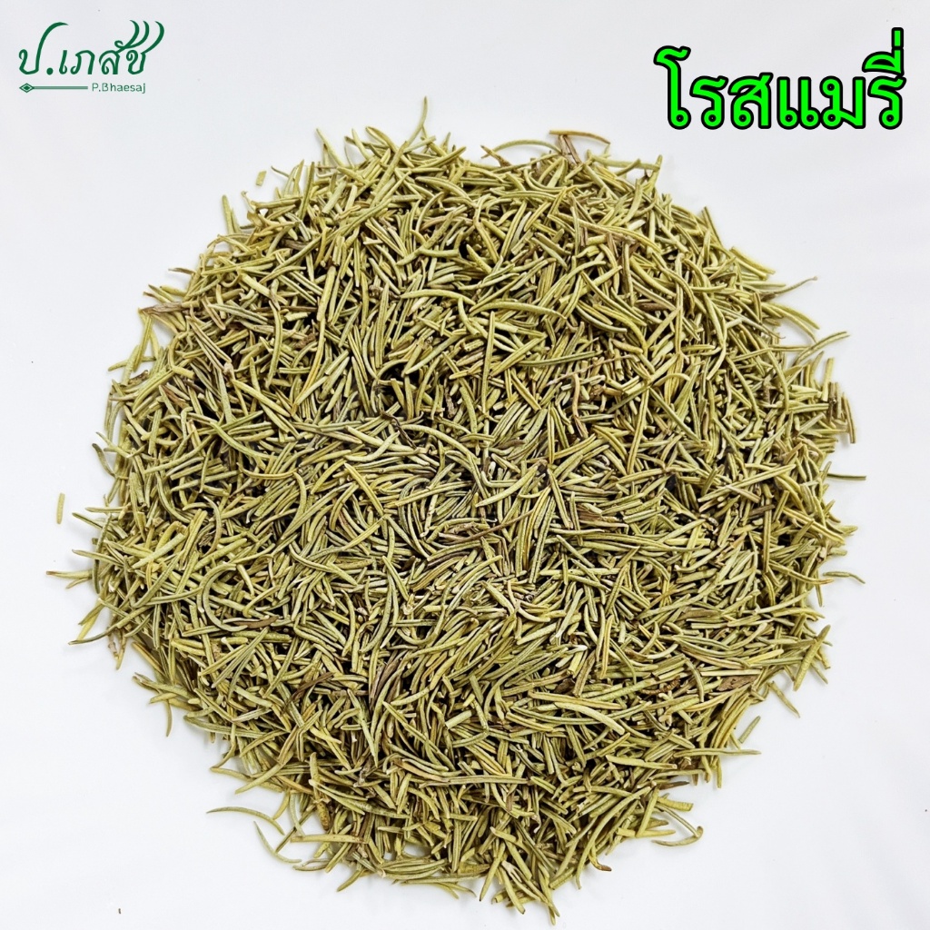 โรสแมรี่ [50 / 100 กรัม] โรสแมรี ใบโรสแมรี Rosemary