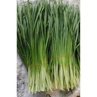 #พร้อมส่ง#ใบกุ้ยช่าย ออแกรนิค ปลูกเองจากสวน ใช้ทำขนมกุ้ยช่าย…