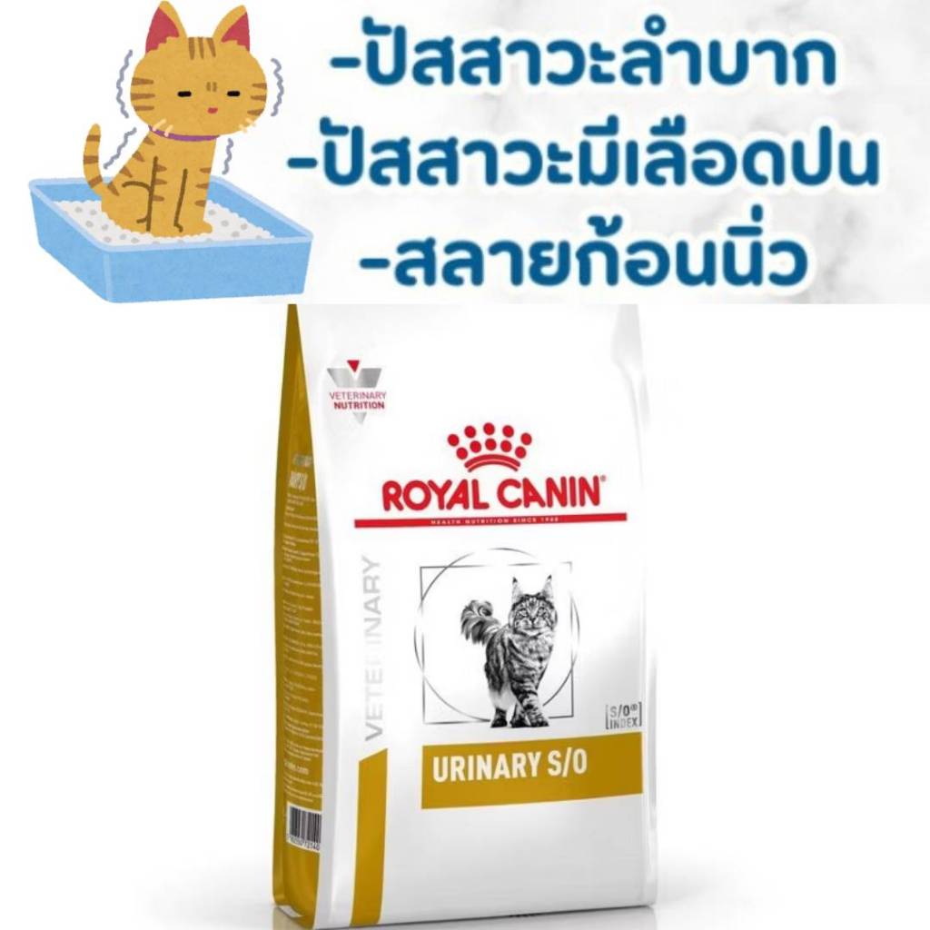 Royal Canin Urinary s/o Cat อาหารแมวโรคนิ่วแบบเปียก 85 g 12 ซอง และแบบเม็ด 400 g กับ 1.5 kg