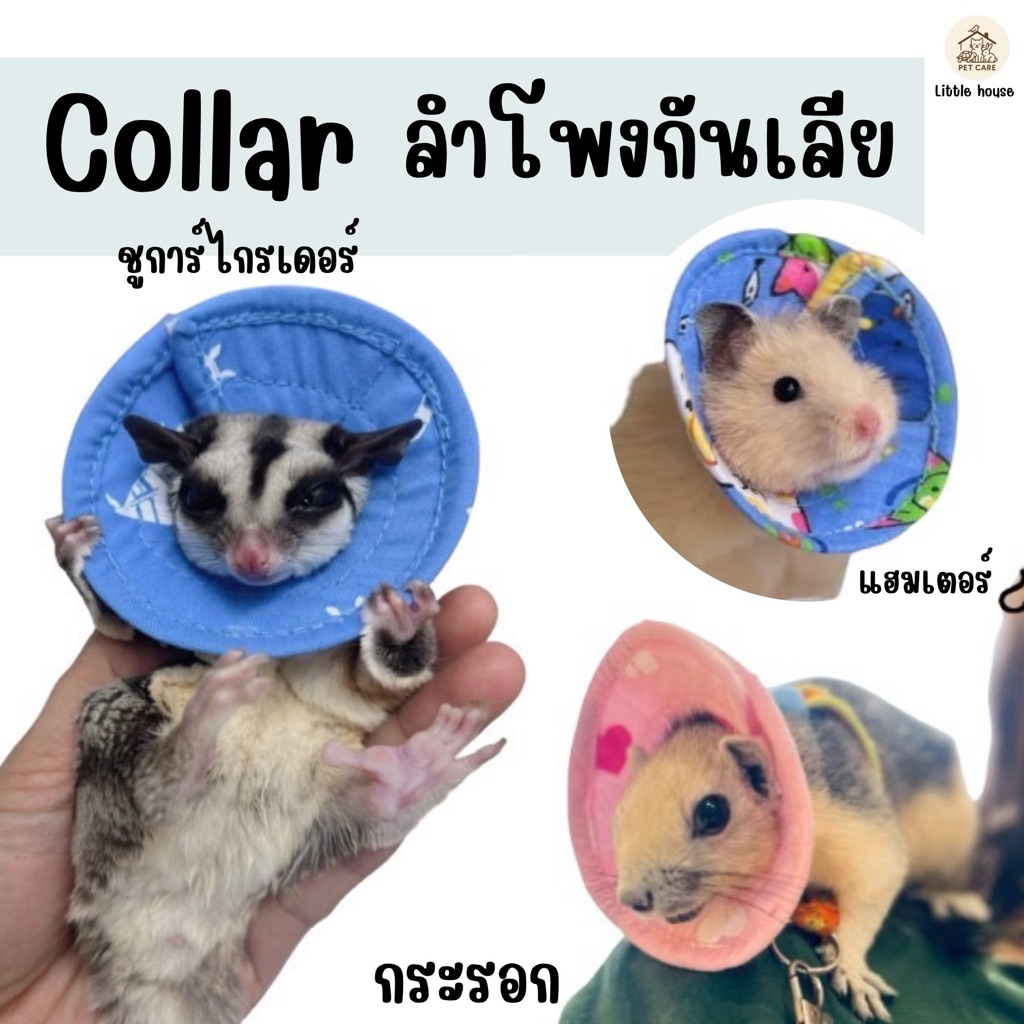 คอลล่าชูการ์ ปลอกคอกันเลียชูการ์ กระรอก แฮมเตอร์ งานไทยพร้อมส่ง