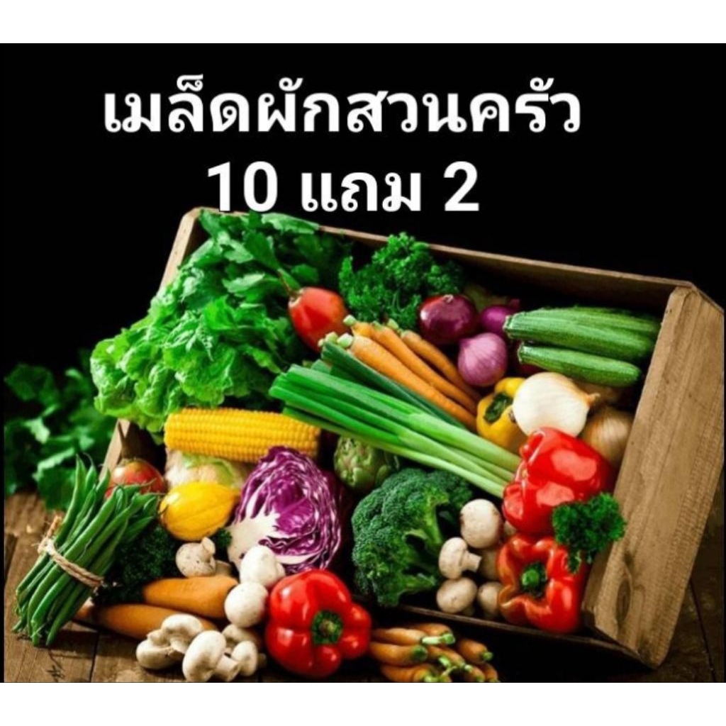 เมล็ดผักสวนครัว ปลูกง่ายโตไว