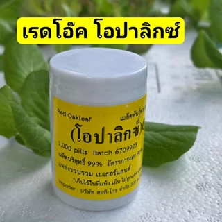 เมล็ดพันธุ์ผักสลัด ชนิดเคลือบ Enza Zaden อัตราการงอกสูง กระปุก 1,000 เมล็ด