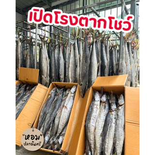 (ซีลแยกชิ้นฟรี) ปลาอินทรีเค็มหอม แบรนด์หอมปลาอินทรี "Premium Set" ผ่าน อย.ถูกต้อง ✅
