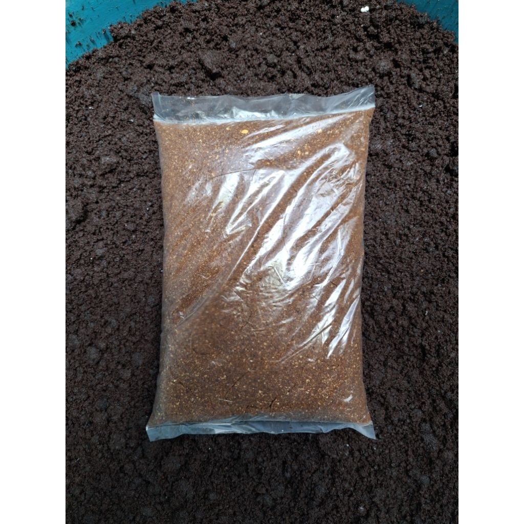 ชิพโดนัท ตกปลาสวาย ตกปลาเกล็ด