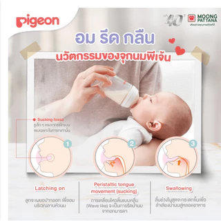 🇹🇭 จุกนม Pigeon พีเจ้นคอกว้างเสมือนนมแม่ *ของไทยแท้💯%* รุ่นใหม่มีแนวบอกระดับการดูด