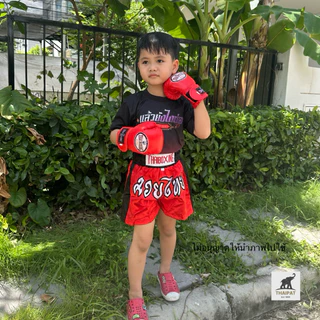 TP012 นวมชกมวยสำหรับเด็ก 🥊 ใส่ซ้อมได้ ราคาส่ง งานคุณภาพเกรดส่งออก