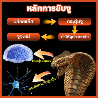 ไม่มีงูในรัศมี 10000 ไมล์🐍 มีประสิทธิภาพ100วัน ไม่มีสารเคมี ปลอดภัย ใช้ง่าย（กำมะถันไล่งู สารไล่งู ยาป้องกันงู ก้อนไล่งู