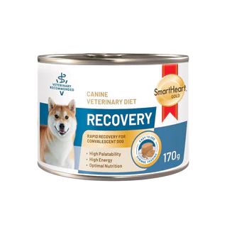 โปรดอ่านก่อนสั่ง (ยกลัง) Smartheart Gold Recovery 80/170g สุนัขและแมว อาหารเปียก สัตว์ป่วย พักฟื้น