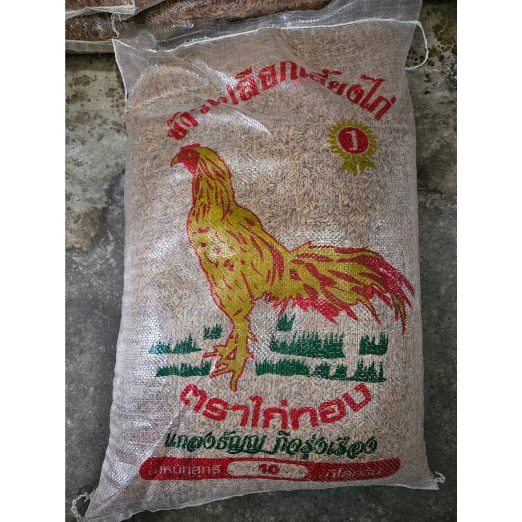 ข้าวเปลือกไก่ชน  คัดพิเศษ - รูปที่ 2